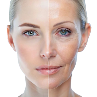 Bodrum longevity merkezi